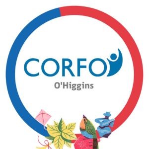 Organización Corfo O'Higgins